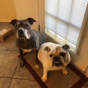 Meet your Posher, Anya